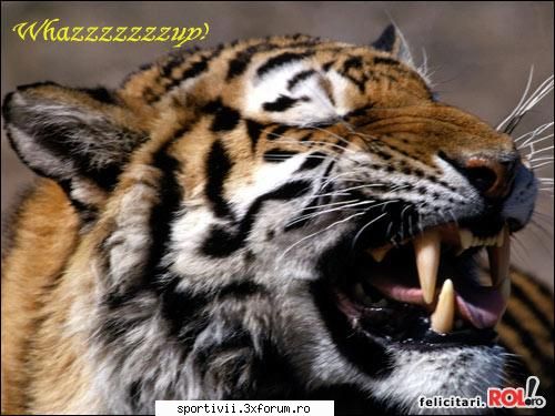 :rotfl: foto in motion