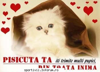baby - pups u sweet baby - Poze & Comentarii Userii